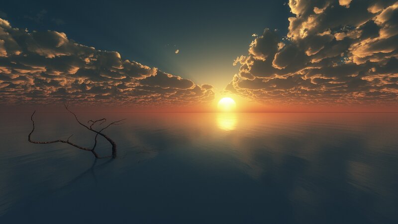 Dead Tree in Water — Blue, Serene, Sunset, 3d Render, Sun