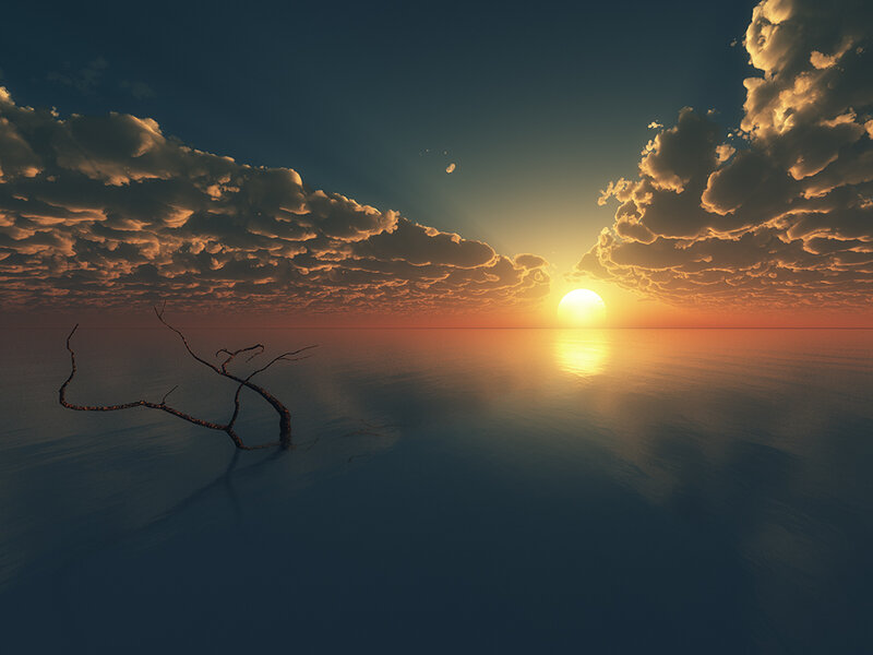 Dead Tree in Water — Blue, Serene