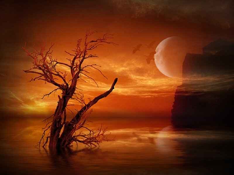 Dead Tree in Water — Orange, Dramatic, Sunset, Digital Art, Moon