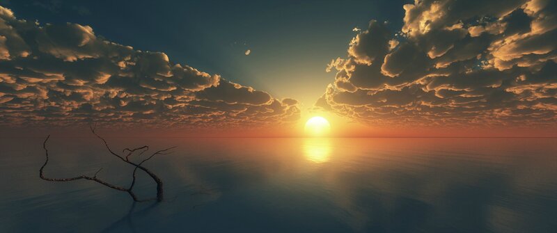 Dead Tree in Water — Orange, Dramatic, Sunset