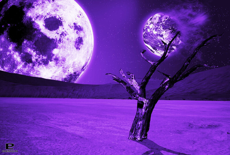 Dead Tree on Alien Planet