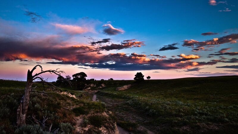 Dead Tree on Hillside — Blue, Dramatic, Sunset