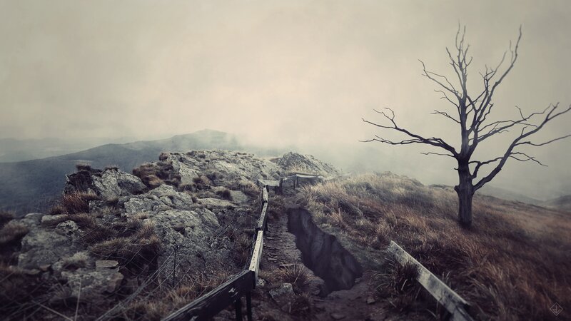 Dead Tree on Hillside — Gray
