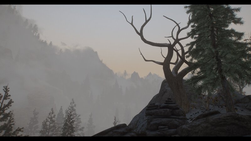 Dead Tree on Mountain — Gray