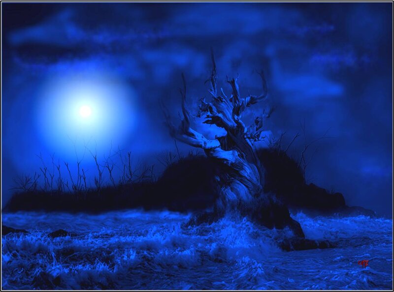 Dead Tree on Rocky Shore