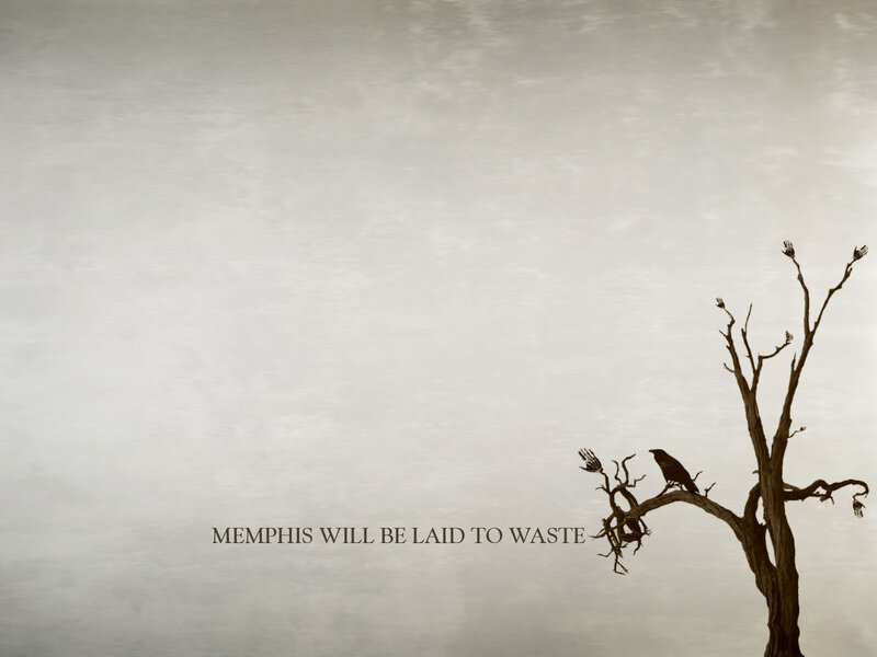Dead Tree with Crow