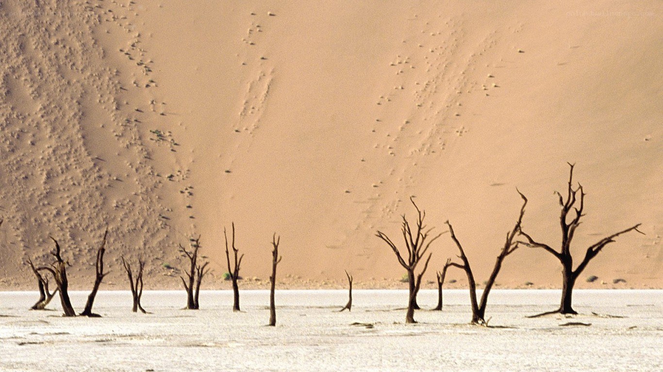 Dead trees in desert landscape