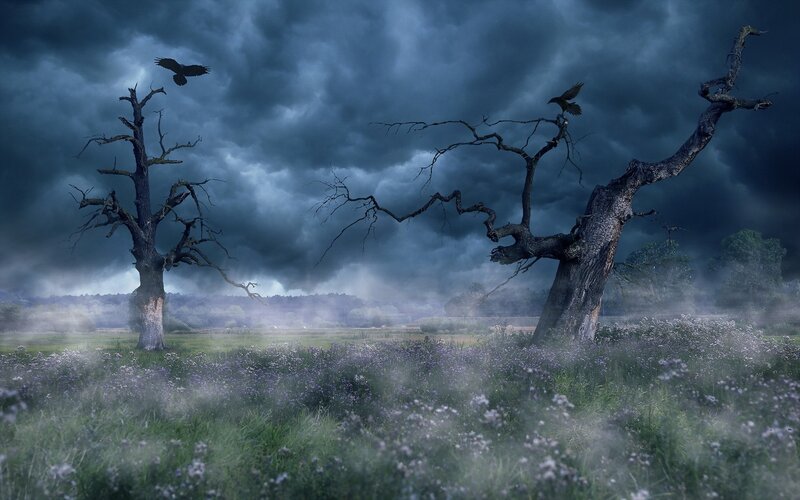 Dead Trees in Field — Dark Blue