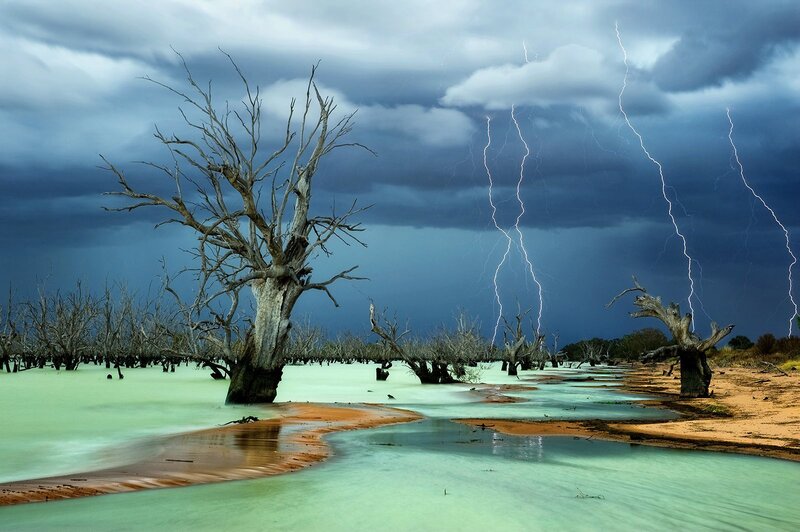 Dead Trees in Flood — Blue, Dramatic, Night
