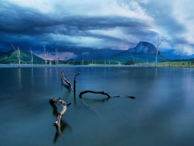 Dead Trees in Lake — Blue, Dramatic, Afternoon