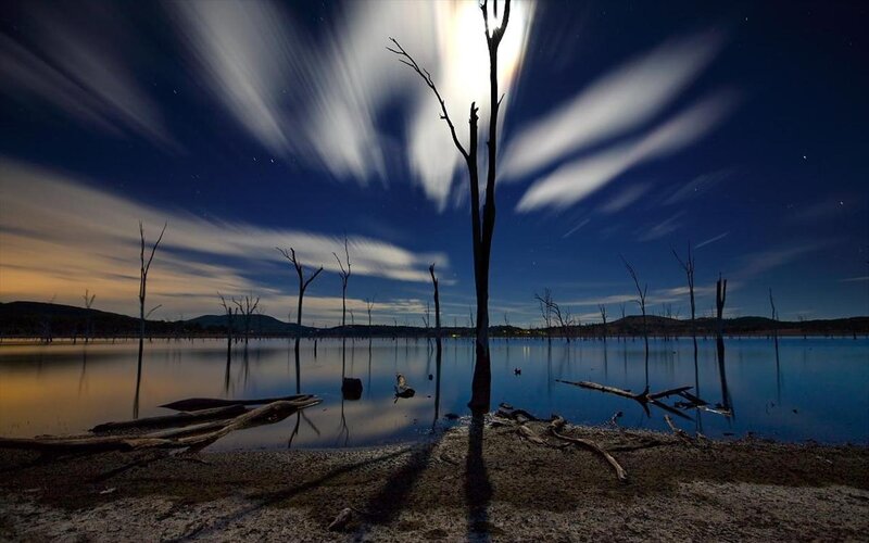 Dead Trees in Lake — Blue, Dramatic