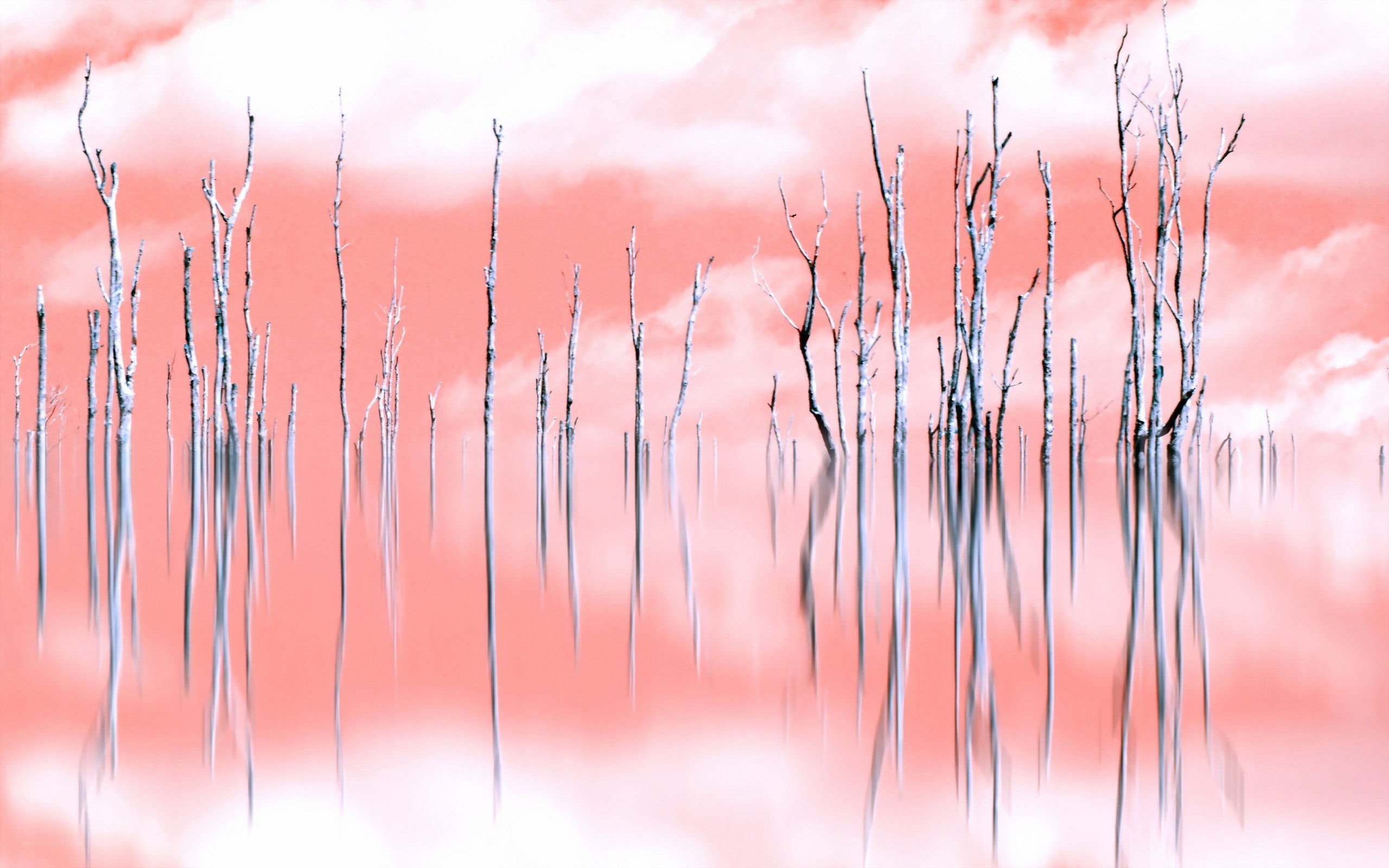 Dead trees in pink water