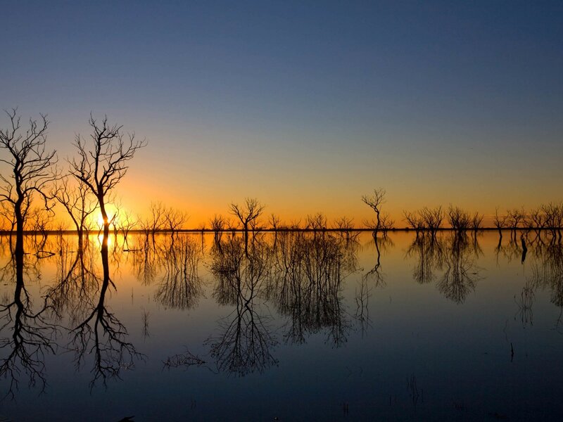 Dead Trees in Water — Blue, Serene, Sunset