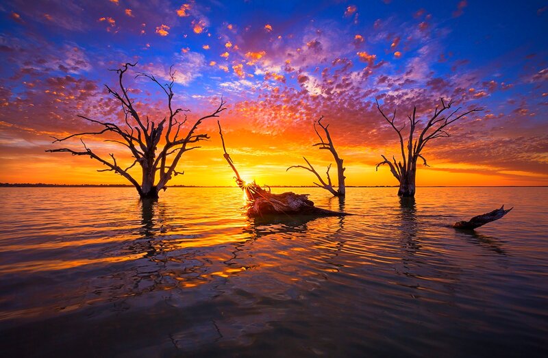 Dead Trees in Water — Orange, Dramatic, Sunset, Photograph, Sun, Sky