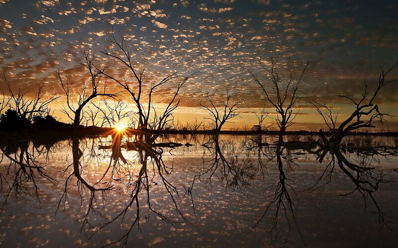 Dead Trees in Water — Orange, Dramatic, Sunset, Photograph, Sun