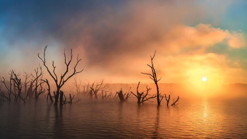 Dead Trees in Water — Orange, Dramatic, Sunset, Photograph