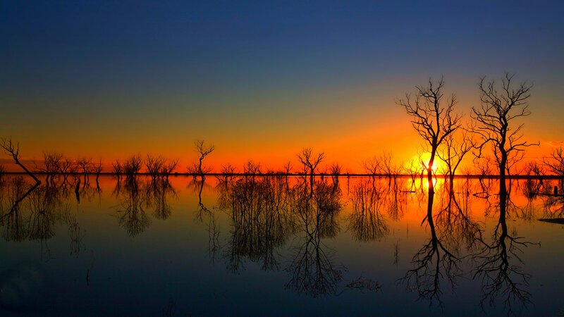 Dead Trees in Water — Orange, Dramatic, Sunset