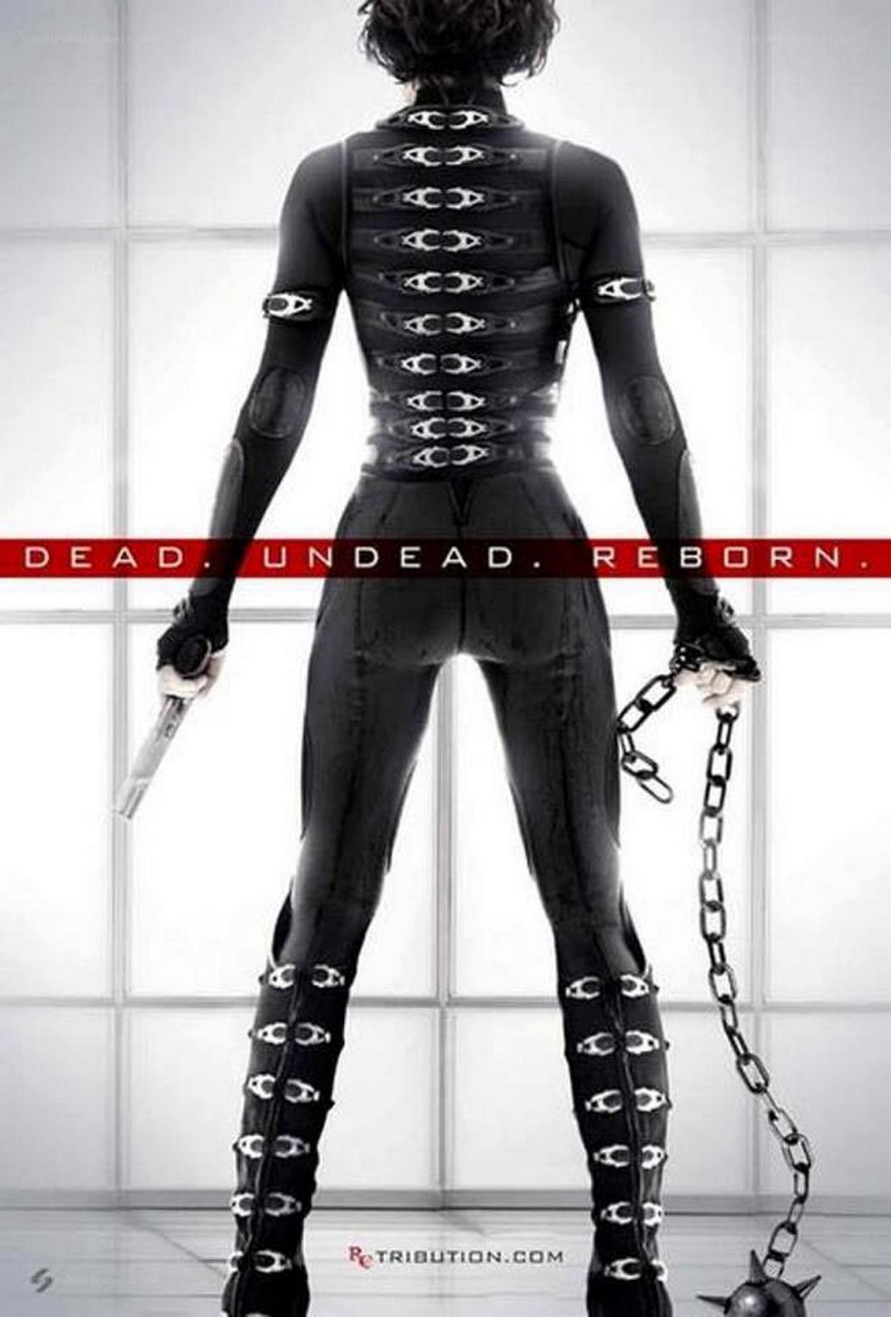 Dead, Undead, Reborn poster