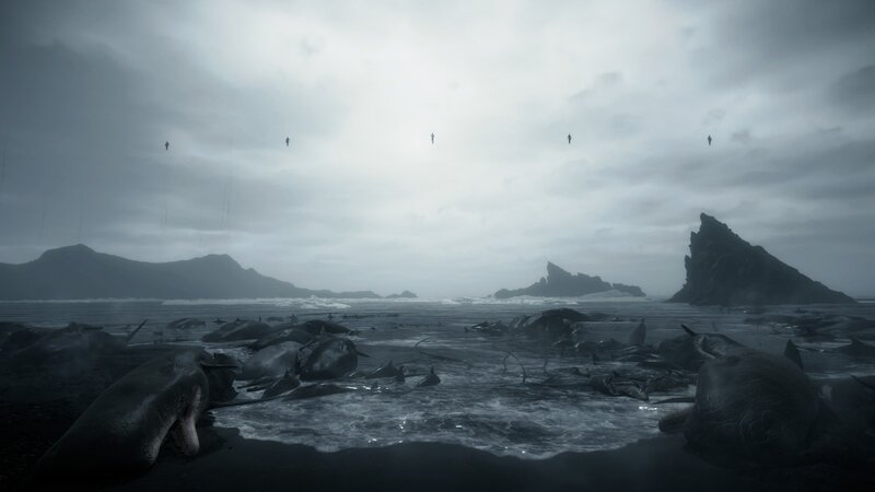 Dead Whales on Beach