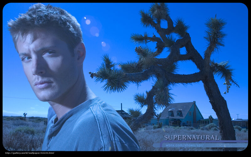 Dean Winchester in desert
