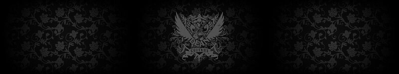 Deans Guitars logo on floral background