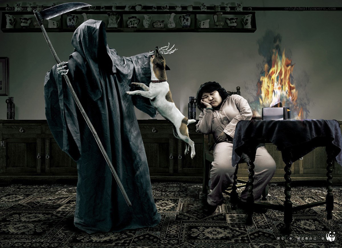 Death and the dog
