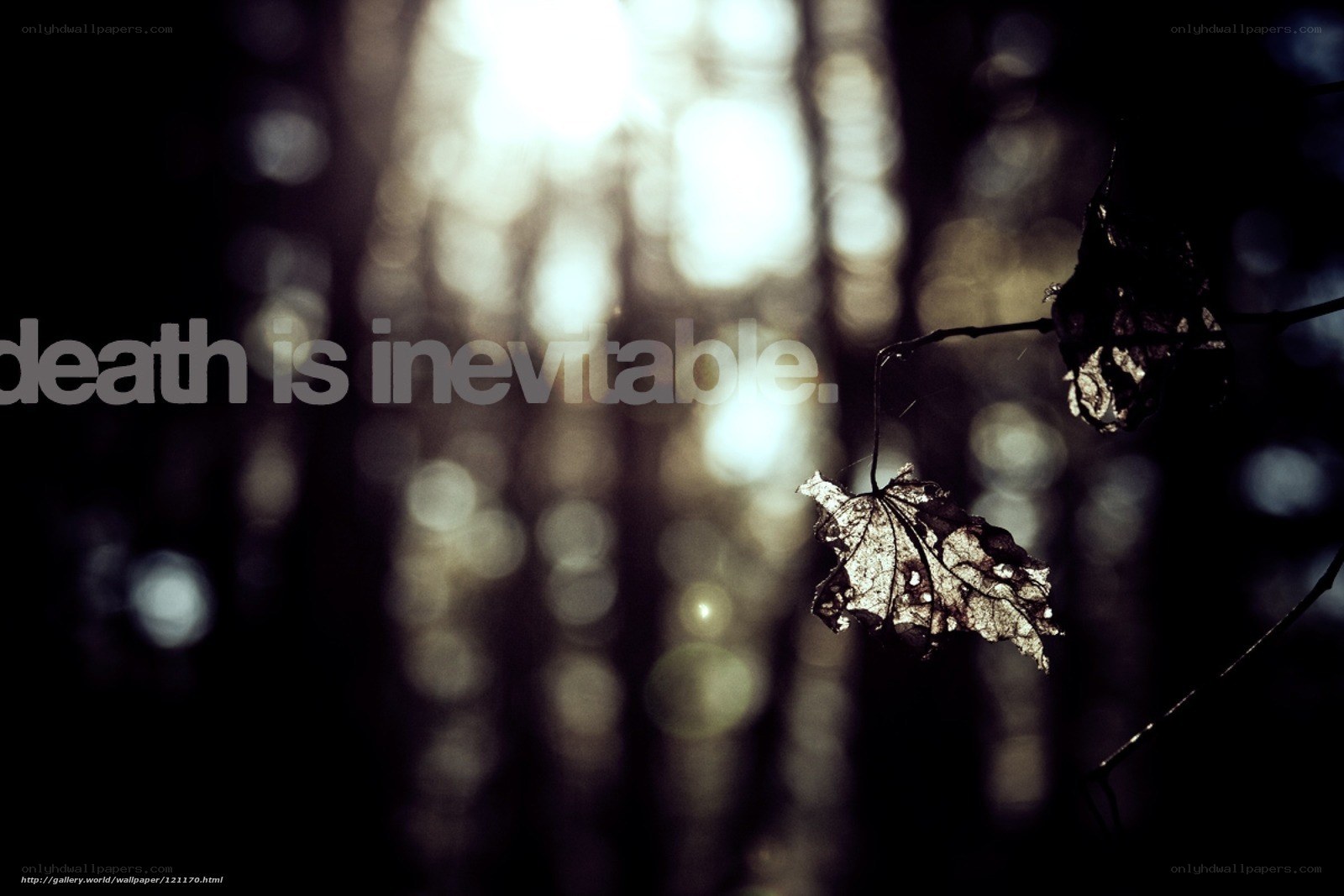 Death is inevitable