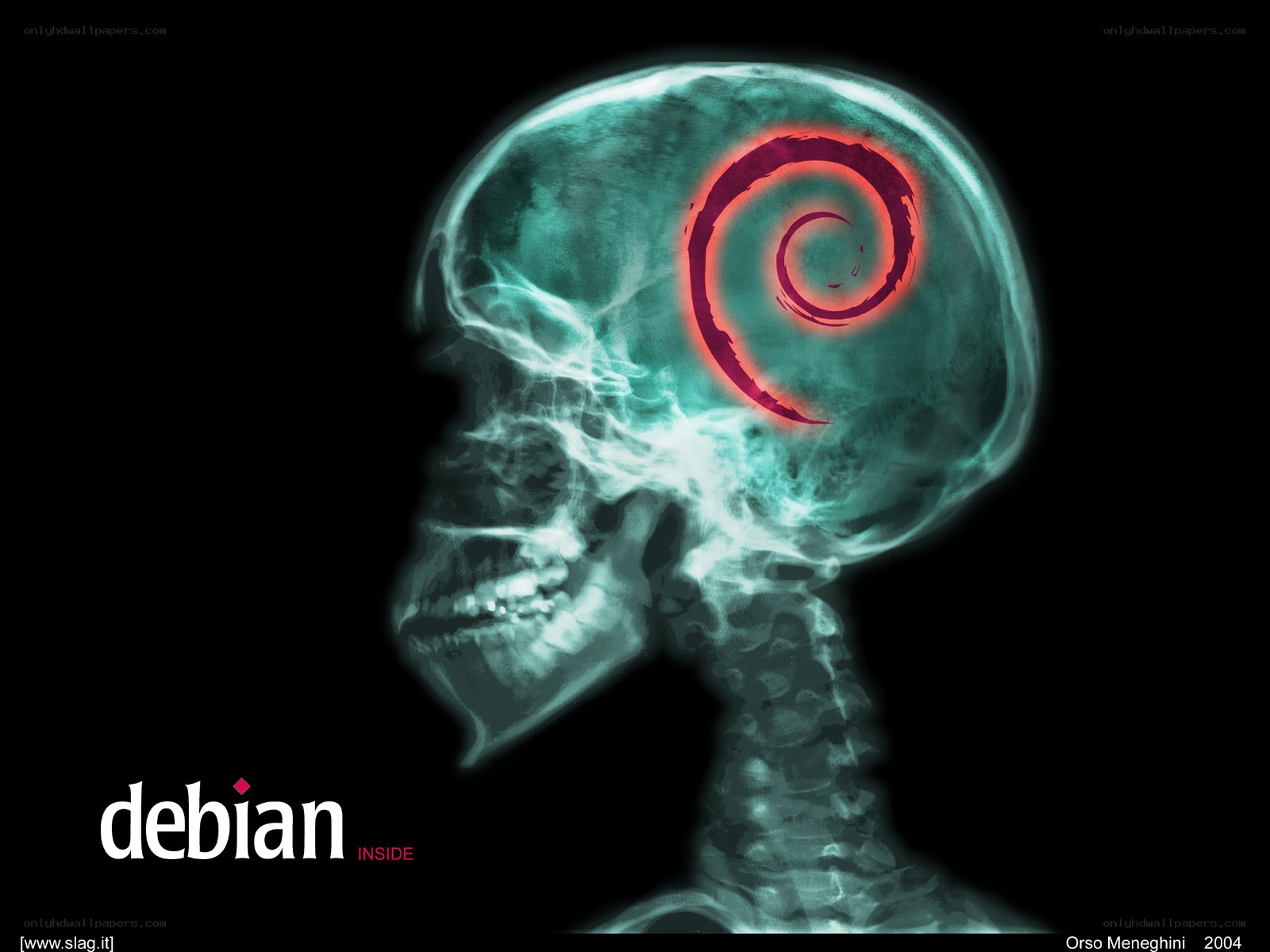 Debian logo in skull x-ray