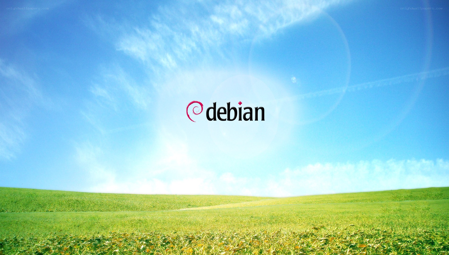 Debian logo on a green field