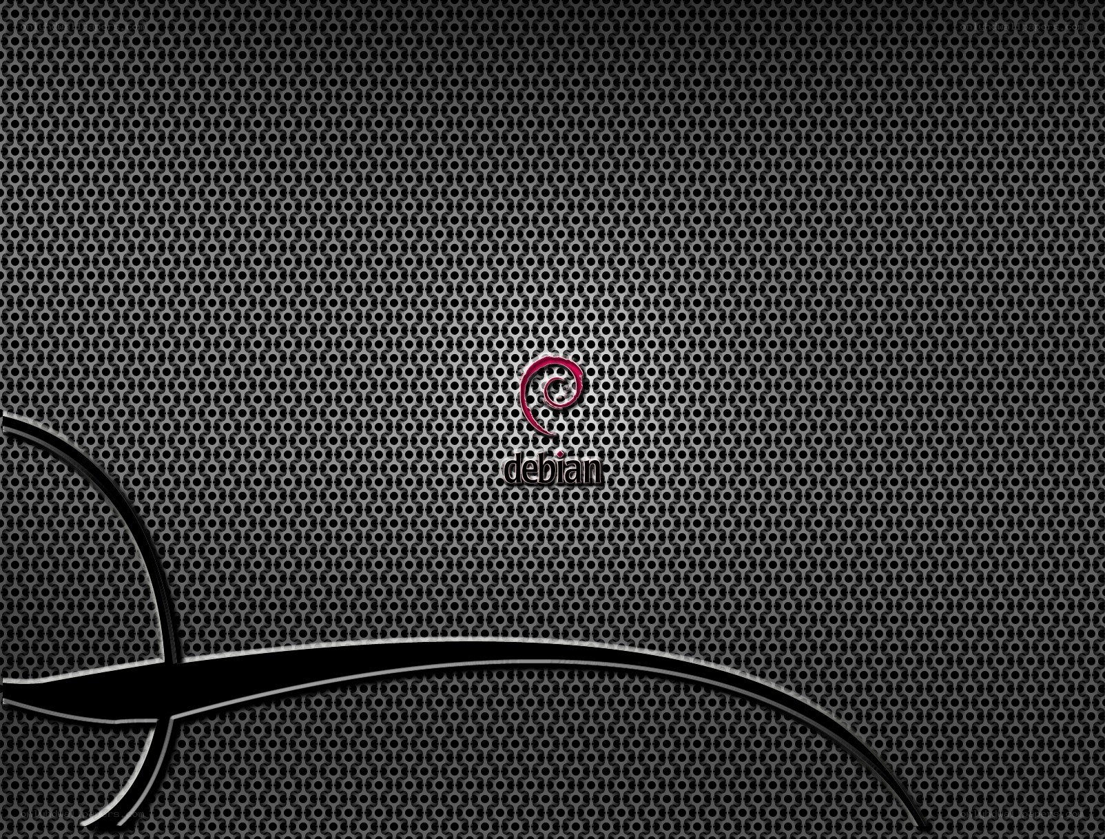 Debian logo on mesh background