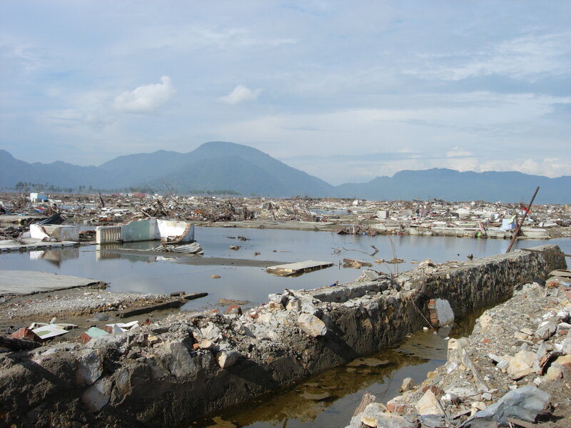 Debris-covered Landscape — Gray