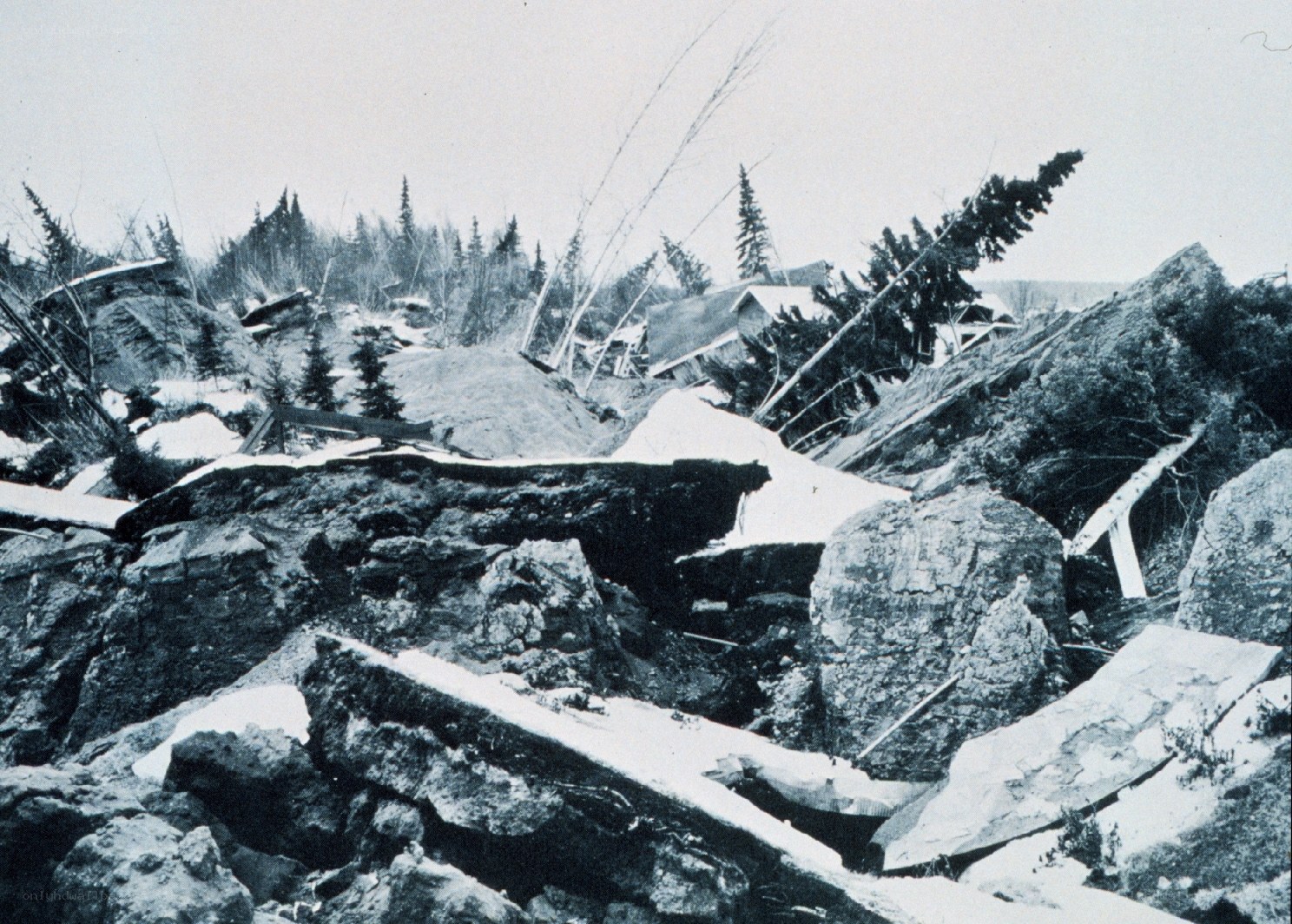 Debris from a landslide