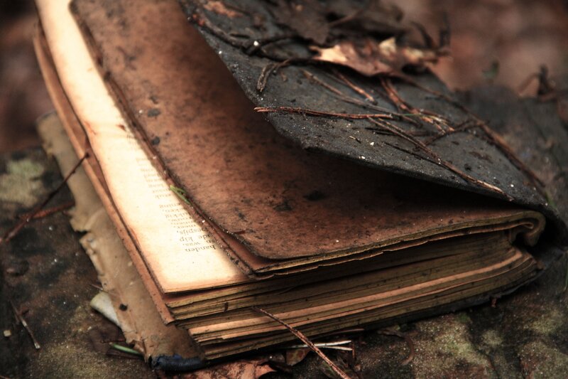 decayed book in forest