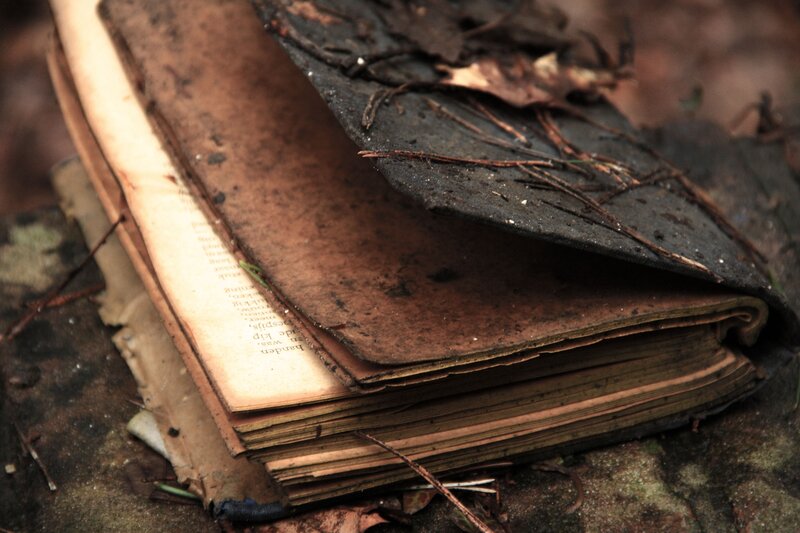 Decayed Book on Ground — Brown