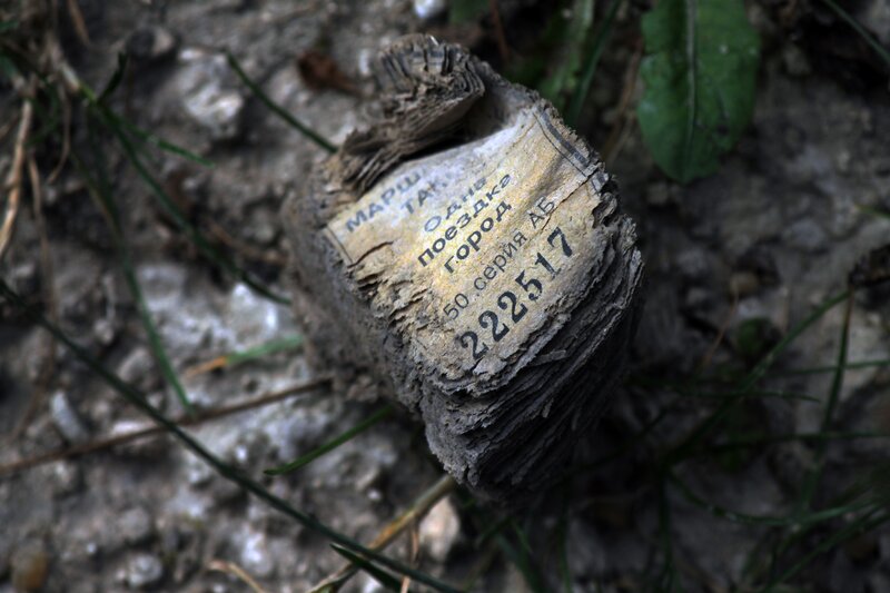 Decayed book on ground