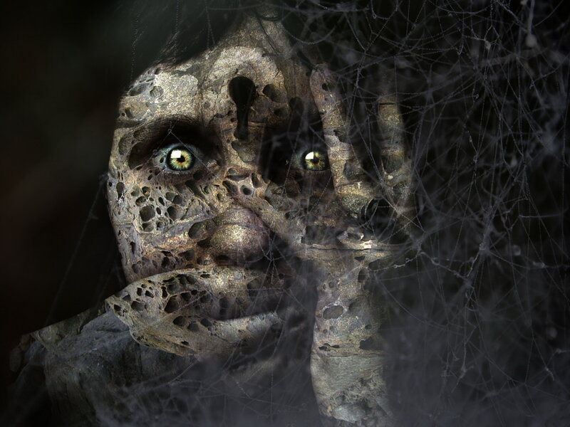Decaying Face Behind Web