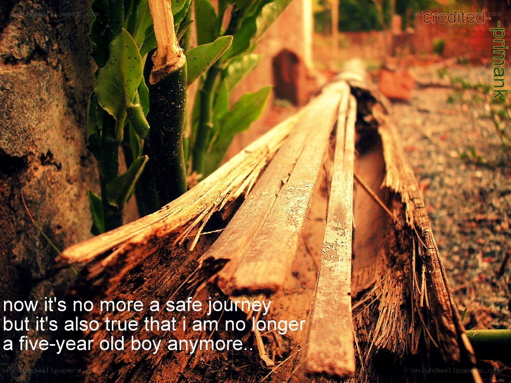 decaying wood and greenery