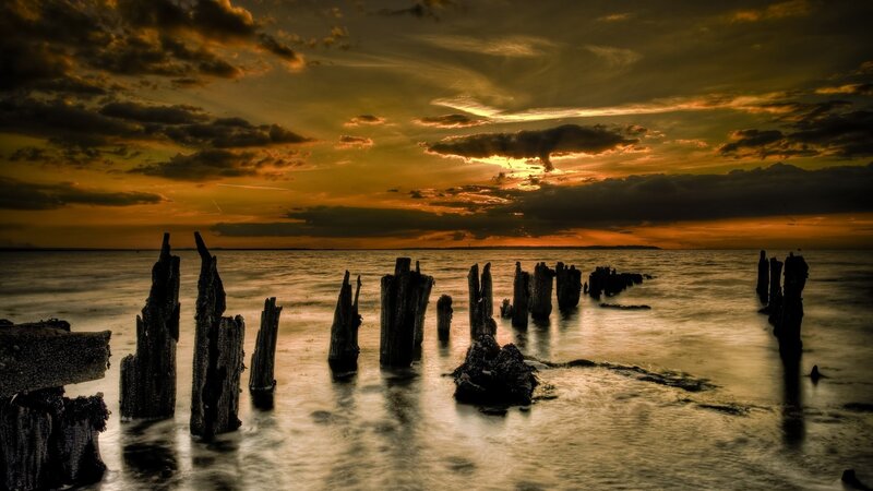 Decaying Wooden Posts