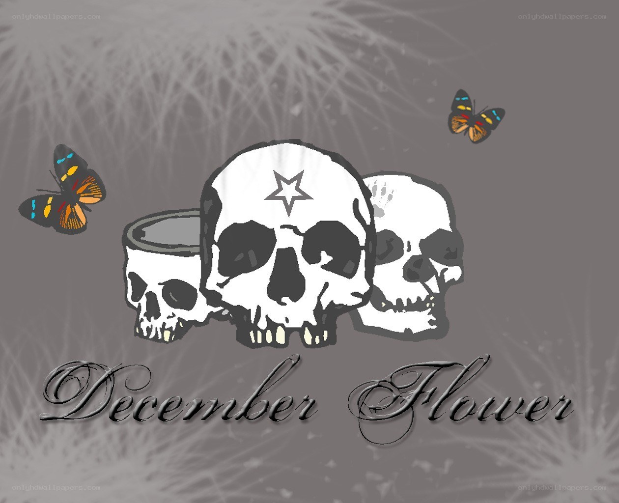 December Flower logo