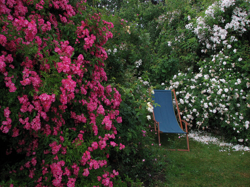 Deck Chair in Garden