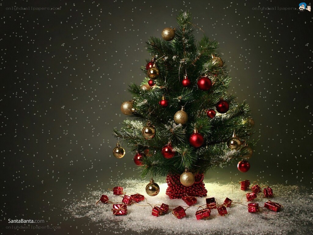 Decorated Christmas tree