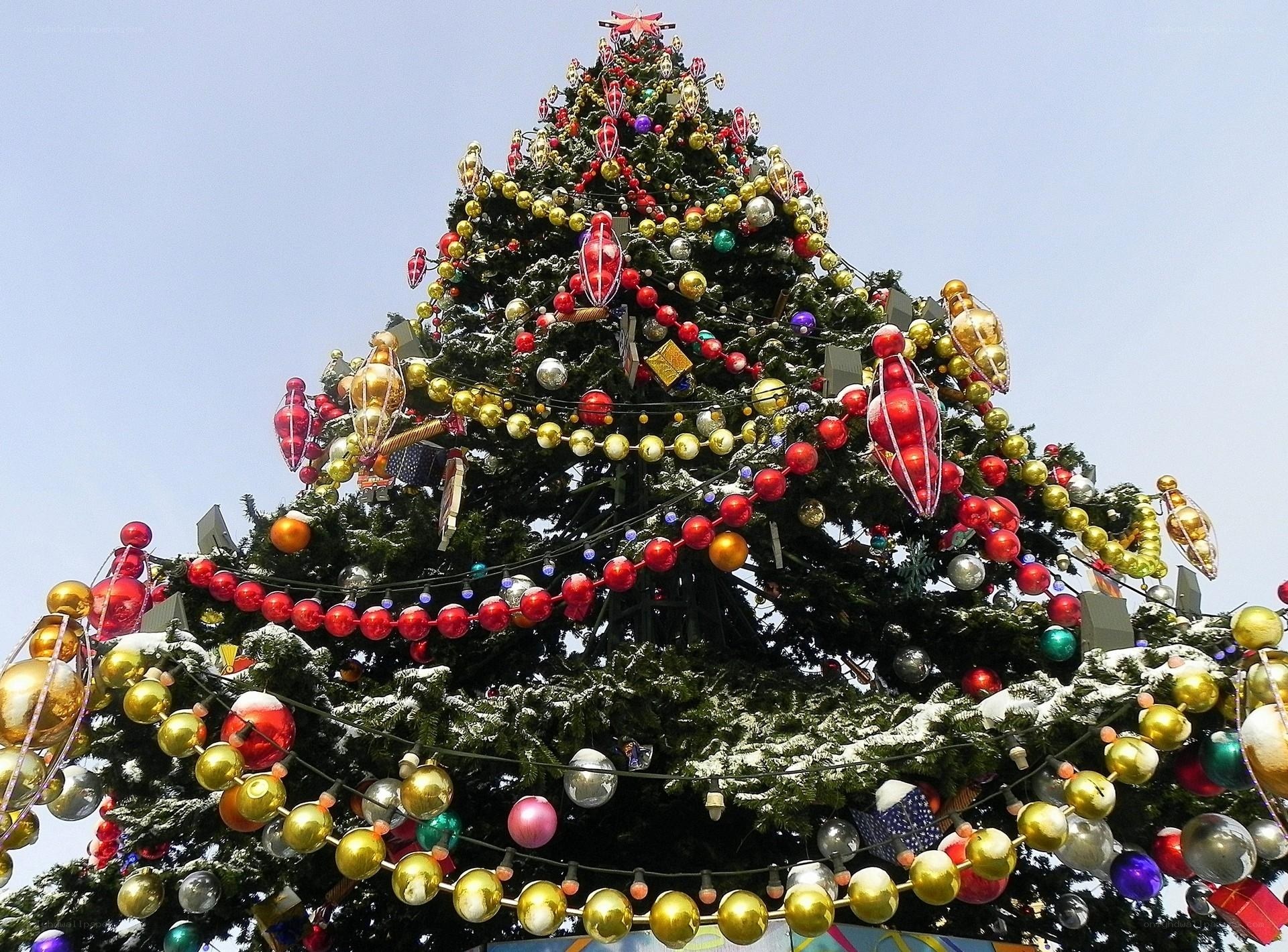 Decorated Christmas tree