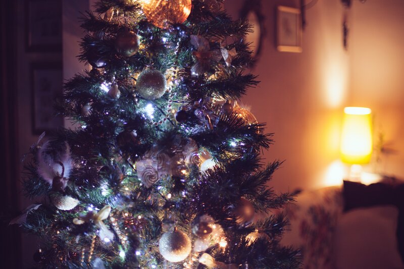 Decorated Christmas tree at night