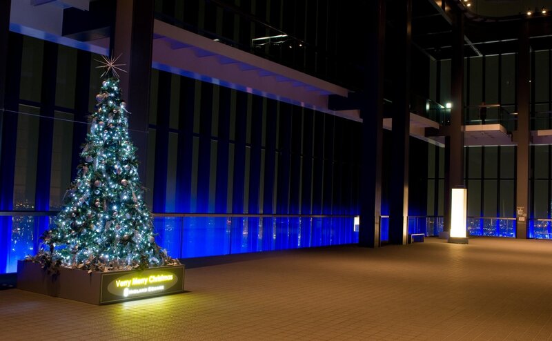 Decorated Christmas Tree — Blue, Festive, Night, Photograph, Lights, Ornaments, Building