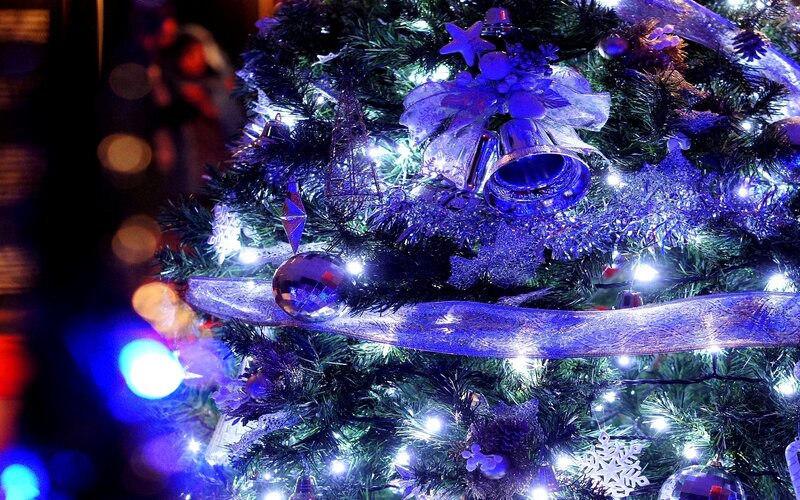 Decorated Christmas Tree — Blue, Festive, Night, Photograph, Lights