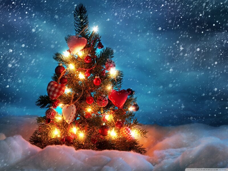 Decorated Christmas Tree — Blue, Festive, Night, Photograph, Snow, Lights, Hearts