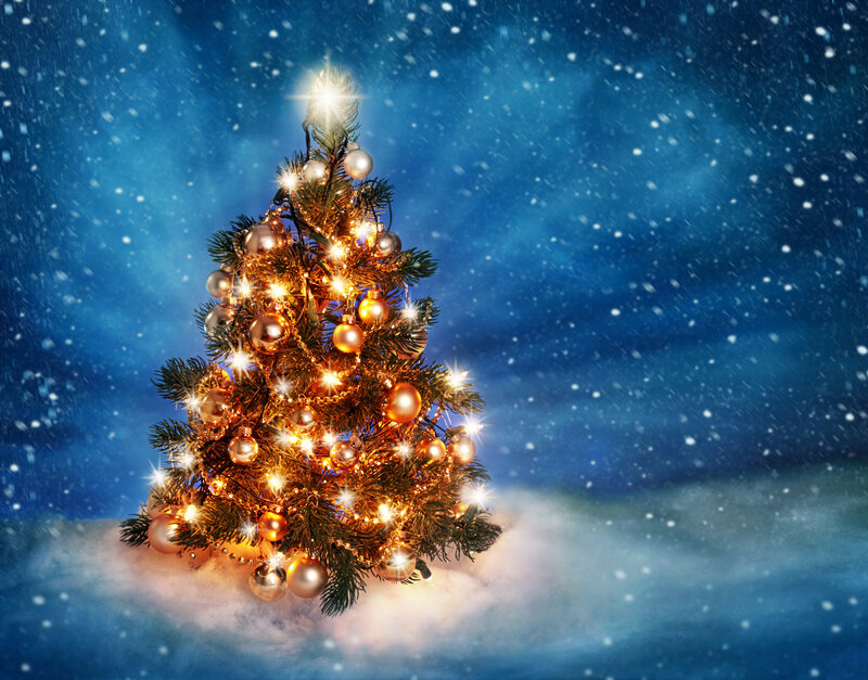 Decorated Christmas Tree — Blue, Festive, Night, Photograph, Snow, Lights, Ornaments