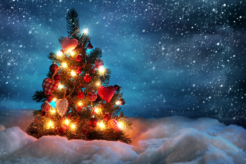 Decorated Christmas Tree — Blue, Festive, Night, Photograph, Snow