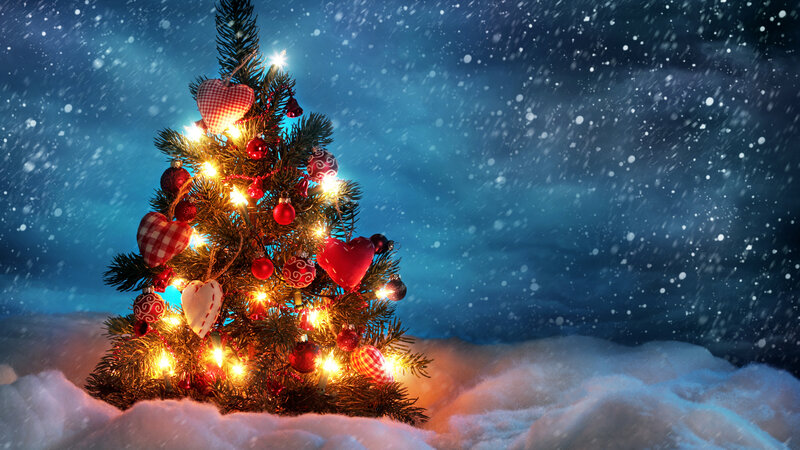 Decorated Christmas Tree — Blue, Festive, Night, Photograph