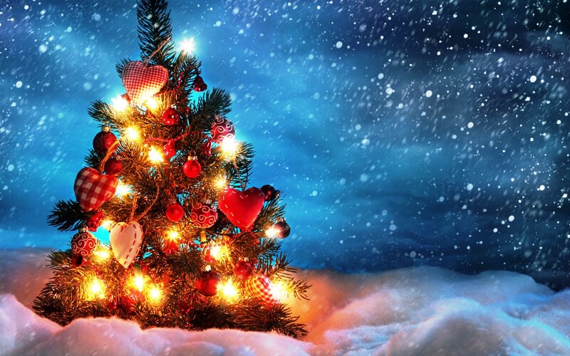 Decorated Christmas Tree — Blue, Festive, Winter, Photograph, Snow